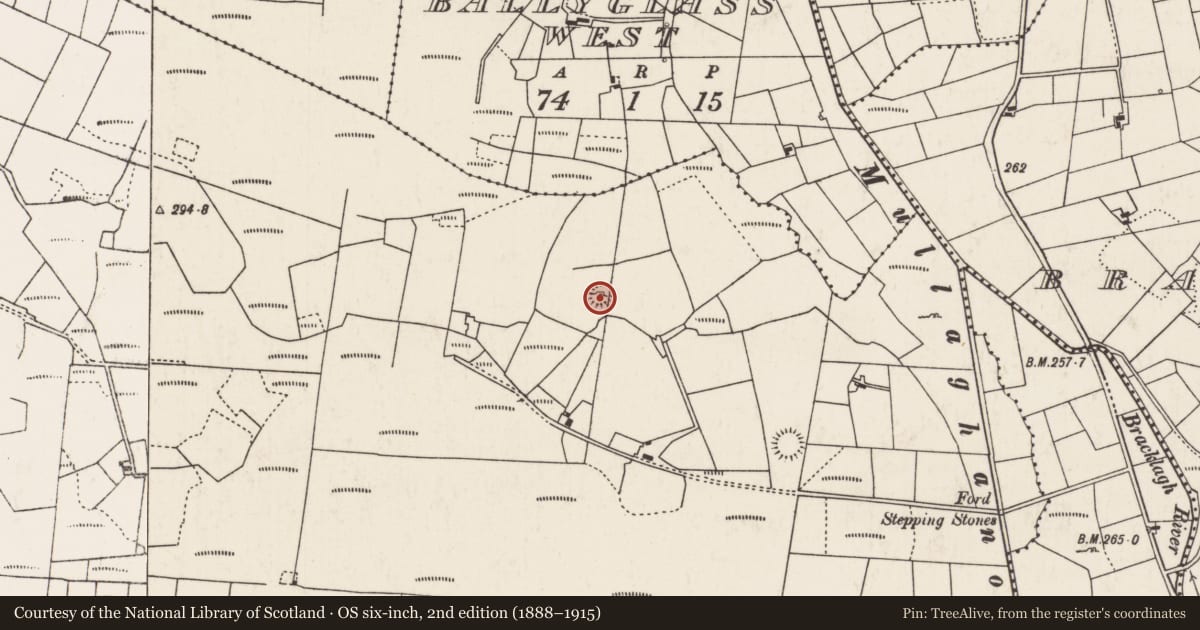 Ordnance Survey six-inch map, 2nd edition (1888–1915) covering the location of Ringfort - unclassified, Treanacally Or Hagfield, County Mayo, with a pin at the register's coordinates