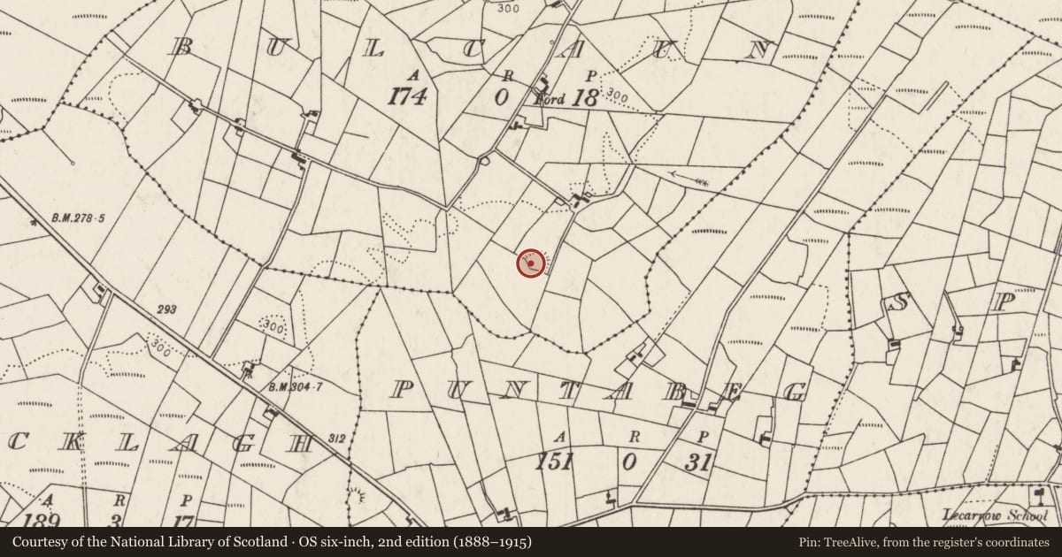 Ordnance Survey six-inch map, 2nd edition (1888–1915) covering the location of Ringfort - rath, Bulcaun, County Mayo, with a pin at the register's coordinates