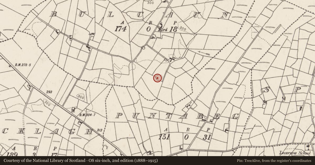 Ordnance Survey six-inch map, 2nd edition (1888–1915) covering the location of Children's burial ground, Bulcaun, County Mayo, with a pin at the register's coordinates