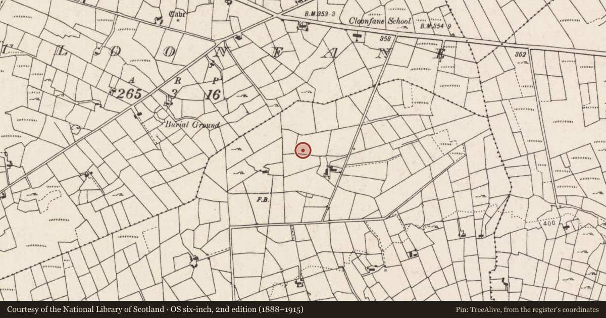 Ordnance Survey six-inch map, 2nd edition (1888–1915) covering the location of Ringfort - rath, Fauleens, County Mayo, with a pin at the register's coordinates