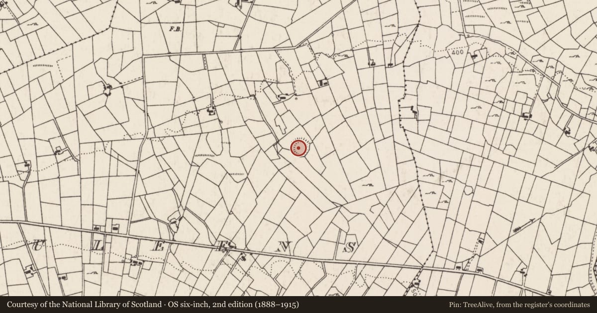 Ordnance Survey six-inch map, 2nd edition (1888–1915) covering the location of Ringfort - rath, Fauleens, County Mayo, with a pin at the register's coordinates