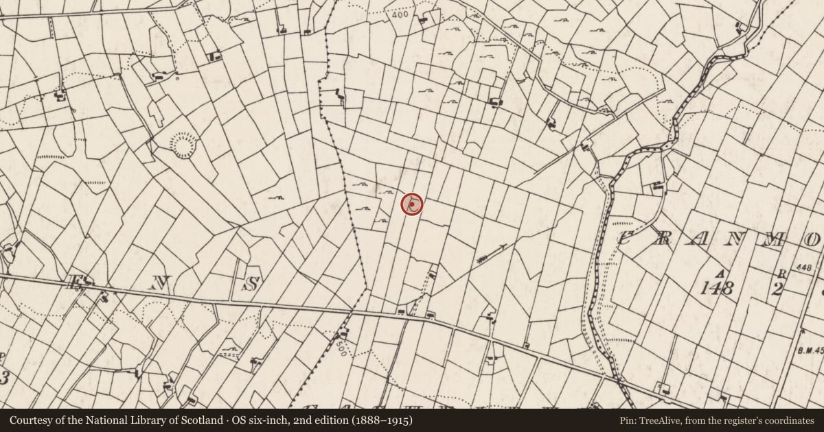 Ordnance Survey six-inch map, 2nd edition (1888–1915) covering the location of Ringfort - cashel, Cashelduff, County Mayo, with a pin at the register's coordinates