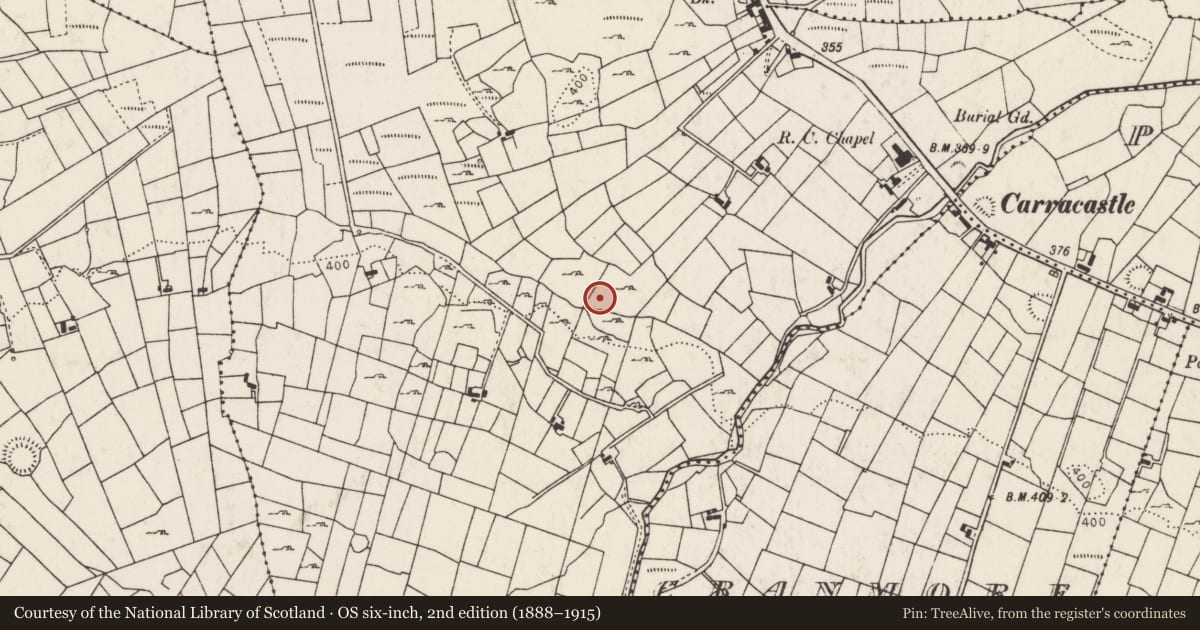 Ordnance Survey six-inch map, 2nd edition (1888–1915) covering the location of Enclosure, Cashelduff, County Mayo, with a pin at the register's coordinates