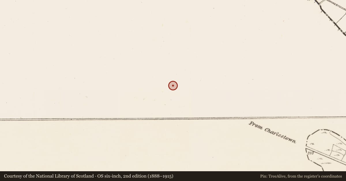 Ordnance Survey six-inch map, 2nd edition (1888–1915) covering the location of Ringfort - rath, Park, County Mayo, with a pin at the register's coordinates