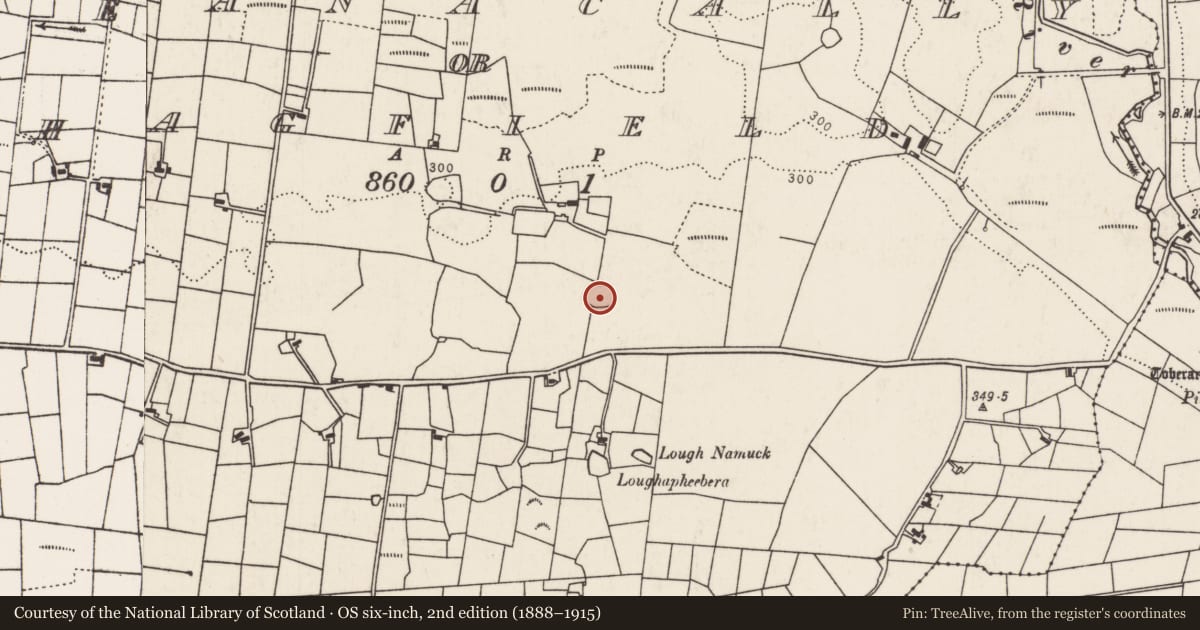 Ordnance Survey six-inch map, 2nd edition (1888–1915) covering the location of Ringfort - cashel, Treanacally Or Hagfield, County Mayo, with a pin at the register's coordinates