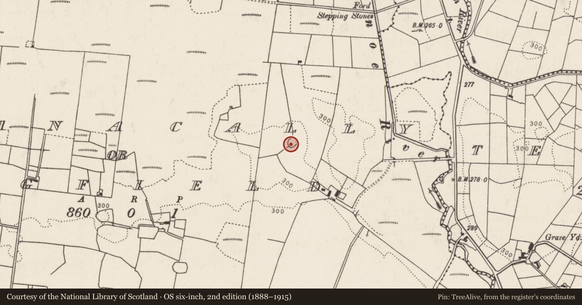 Ordnance Survey six-inch map, 2nd edition (1888–1915) covering the location of Enclosure, Treanacally Or Hagfield, County Mayo, with a pin at the register's coordinates