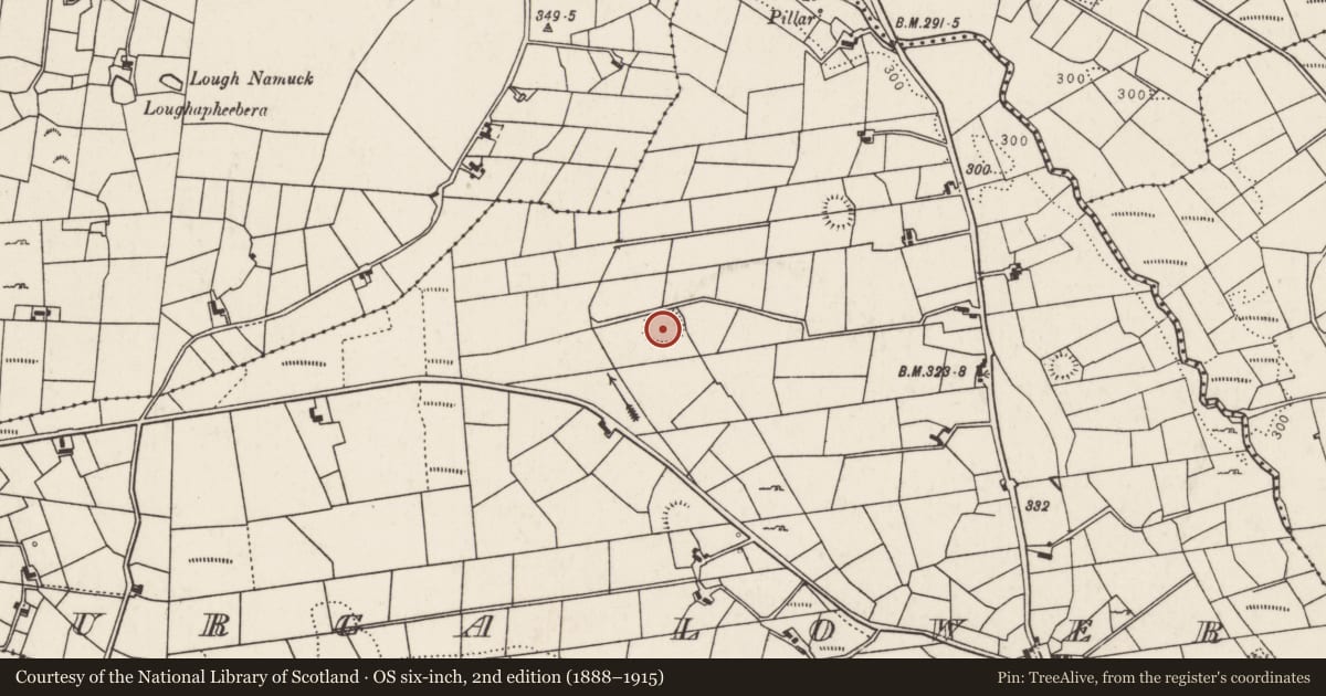 Ordnance Survey six-inch map, 2nd edition (1888–1915) covering the location of Ringfort - rath, Lurga Lower, County Mayo, with a pin at the register's coordinates