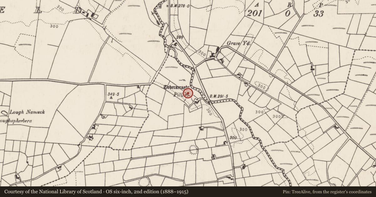 Ordnance Survey six-inch map, 2nd edition (1888–1915) covering the location of Ritual site - holy well, Lurga Lower, County Mayo, with a pin at the register's coordinates
