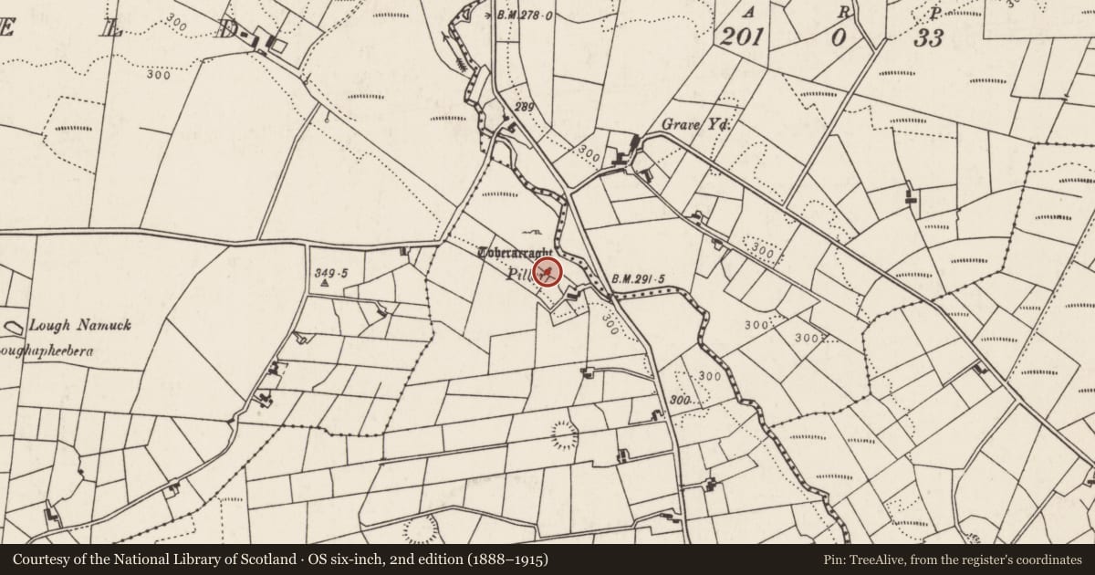 Ordnance Survey six-inch map, 2nd edition (1888–1915) covering the location of Structure, Lurga Lower, County Mayo, with a pin at the register's coordinates
