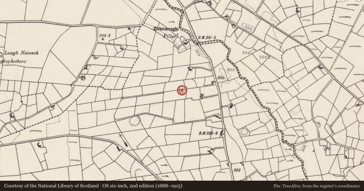 Ordnance Survey six-inch map, 2nd edition (1888–1915) covering the location of Ringfort - rath, Lurga Lower, County Mayo, with a pin at the register's coordinates