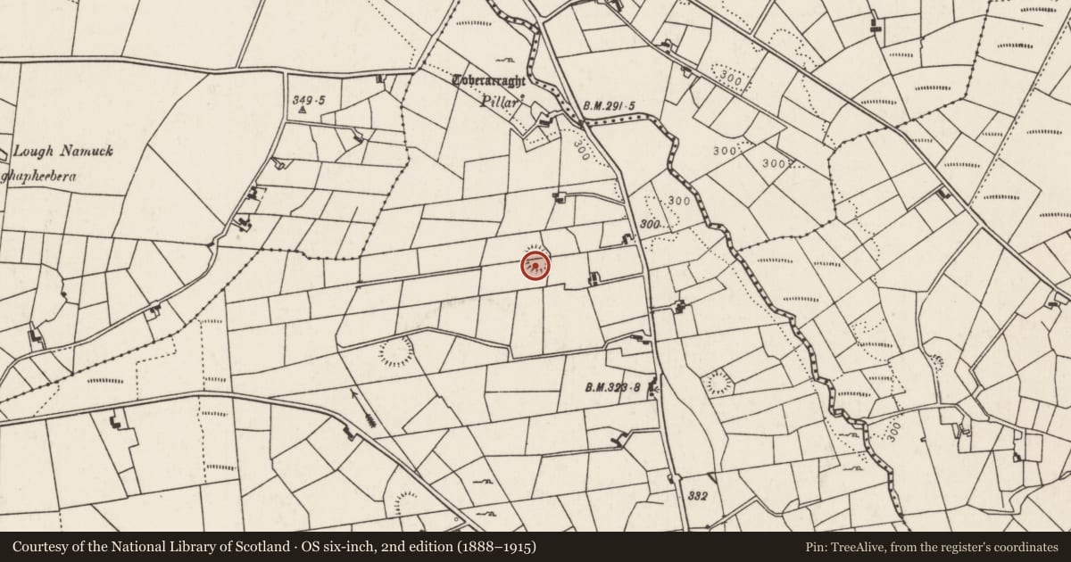 Ordnance Survey six-inch map, 2nd edition (1888–1915) covering the location of Souterrain, Lurga Lower, County Mayo, with a pin at the register's coordinates