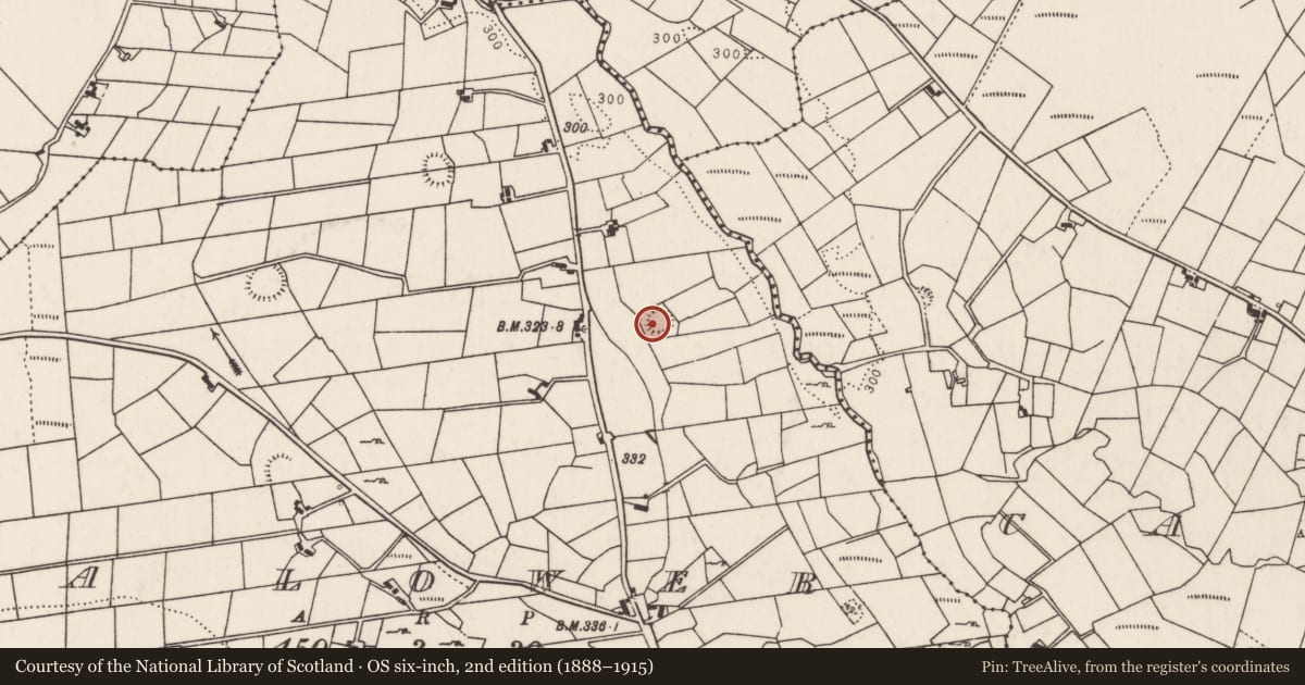 Ordnance Survey six-inch map, 2nd edition (1888–1915) covering the location of Ringfort - rath, Lurga Lower, County Mayo, with a pin at the register's coordinates