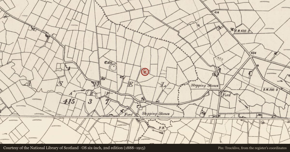 Ordnance Survey six-inch map, 2nd edition (1888–1915) covering the location of Enclosure, Cashel, County Mayo, with a pin at the register's coordinates