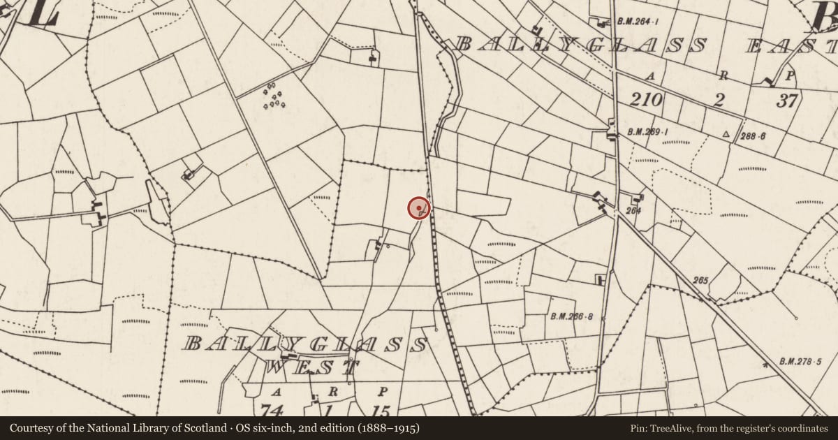 Ordnance Survey six-inch map, 2nd edition (1888–1915) covering the location of Fulacht fia, Ballyglass West, County Mayo, with a pin at the register's coordinates