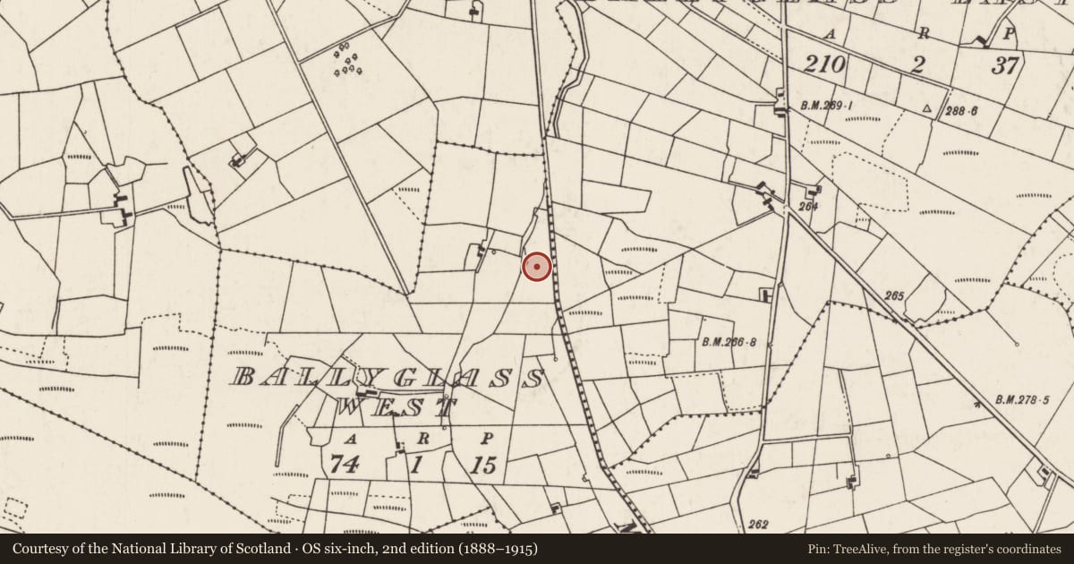 Ordnance Survey six-inch map, 2nd edition (1888–1915) covering the location of Fulacht fia, Ballyglass West, County Mayo, with a pin at the register's coordinates