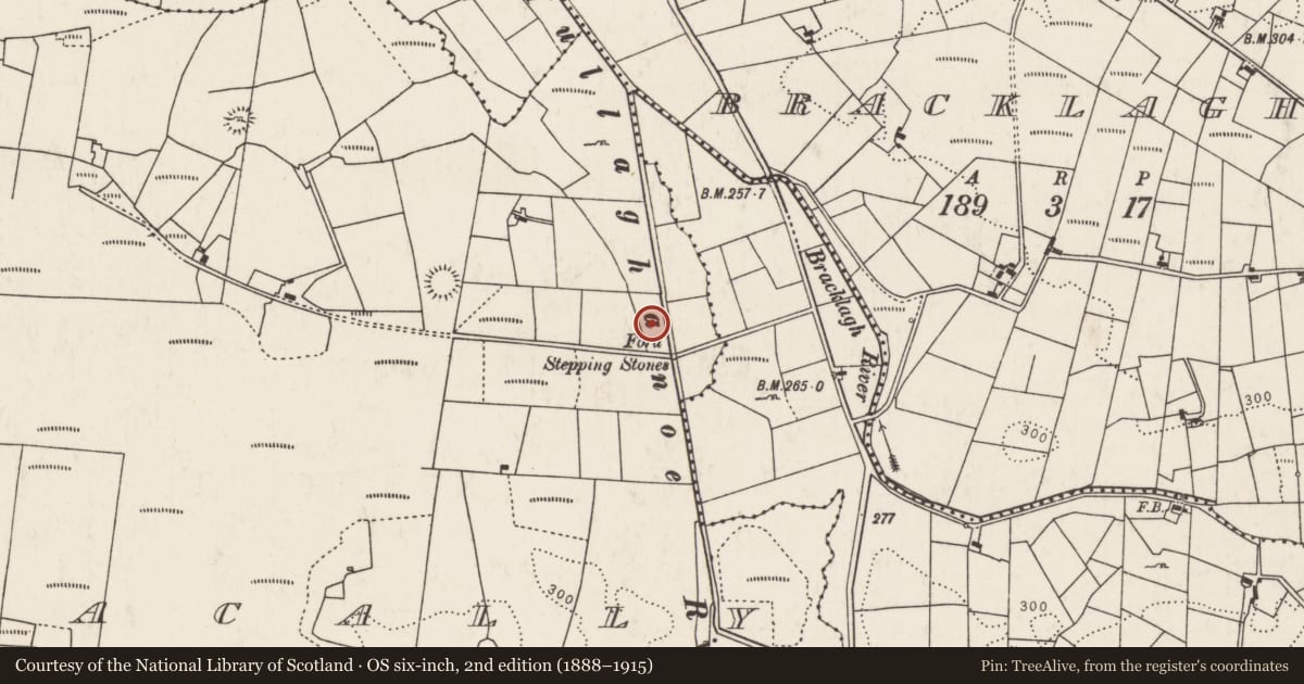 Ordnance Survey six-inch map, 2nd edition (1888–1915) covering the location of Fulacht fia, Treanacally Or Hagfield, County Mayo, with a pin at the register's coordinates