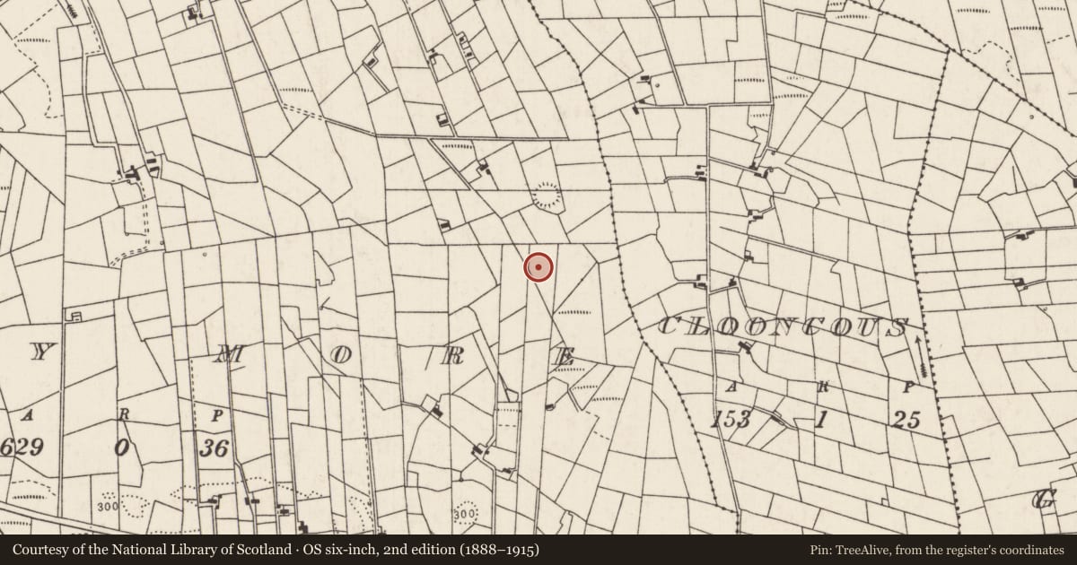 Ordnance Survey six-inch map, 2nd edition (1888–1915) covering the location of Enclosure, Lavy More, County Mayo, with a pin at the register's coordinates