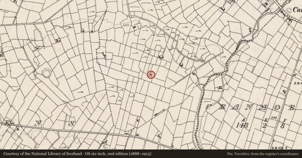 Ordnance Survey six-inch map, 2nd edition (1888–1915) covering the location of Enclosure, Cashelduff, County Mayo, with a pin at the register's coordinates