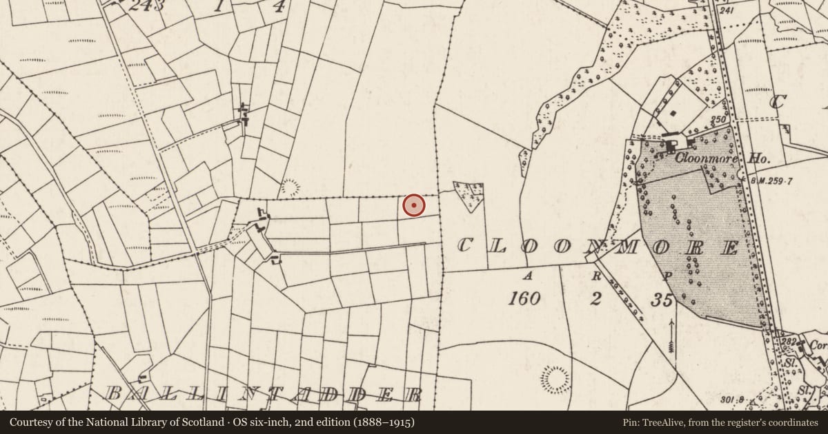Ordnance Survey six-inch map, 2nd edition (1888–1915) covering the location of Ringfort - rath, Ballintadder, County Mayo, with a pin at the register's coordinates