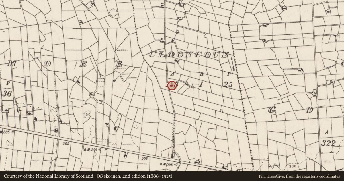 Ordnance Survey six-inch map, 2nd edition (1888–1915) covering the location of Megalithic tomb - wedge tomb, Clooncous, County Mayo, with a pin at the register's coordinates