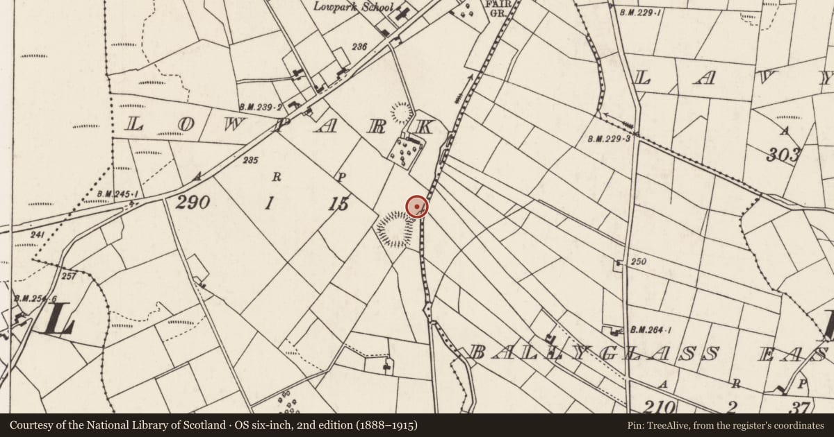 Ordnance Survey six-inch map, 2nd edition (1888–1915) covering the location of Burnt mound, Lowpark, County Mayo, with a pin at the register's coordinates
