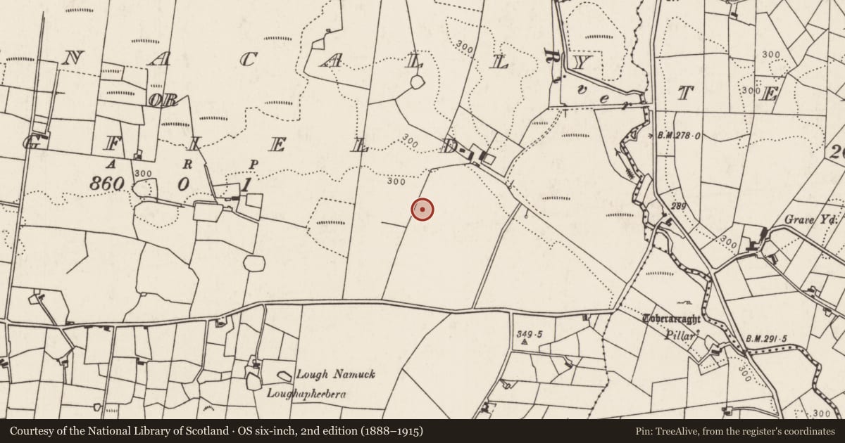 Ordnance Survey six-inch map, 2nd edition (1888–1915) covering the location of Burnt mound, Treanacally Or Hagfield, County Mayo, with a pin at the register's coordinates