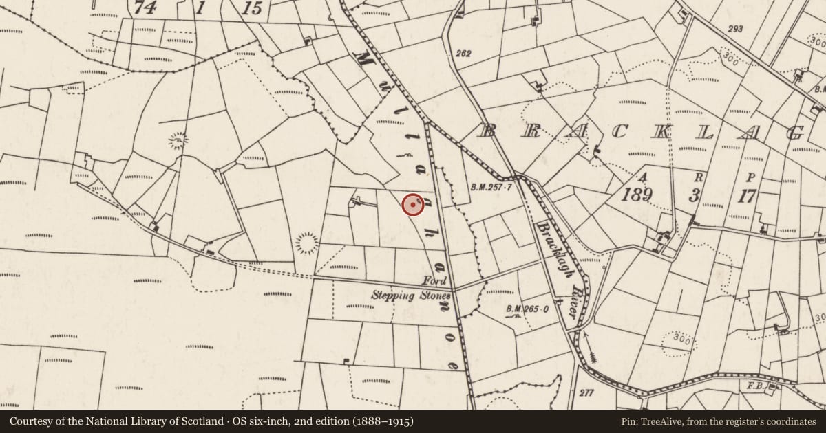 Ordnance Survey six-inch map, 2nd edition (1888–1915) covering the location of Burnt mound, Treanacally Or Hagfield, County Mayo, with a pin at the register's coordinates