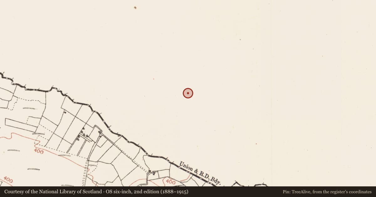 Ordnance Survey six-inch map, 2nd edition (1888–1915) covering the location of Children's burial ground, Derrynabrock, County Mayo, with a pin at the register's coordinates