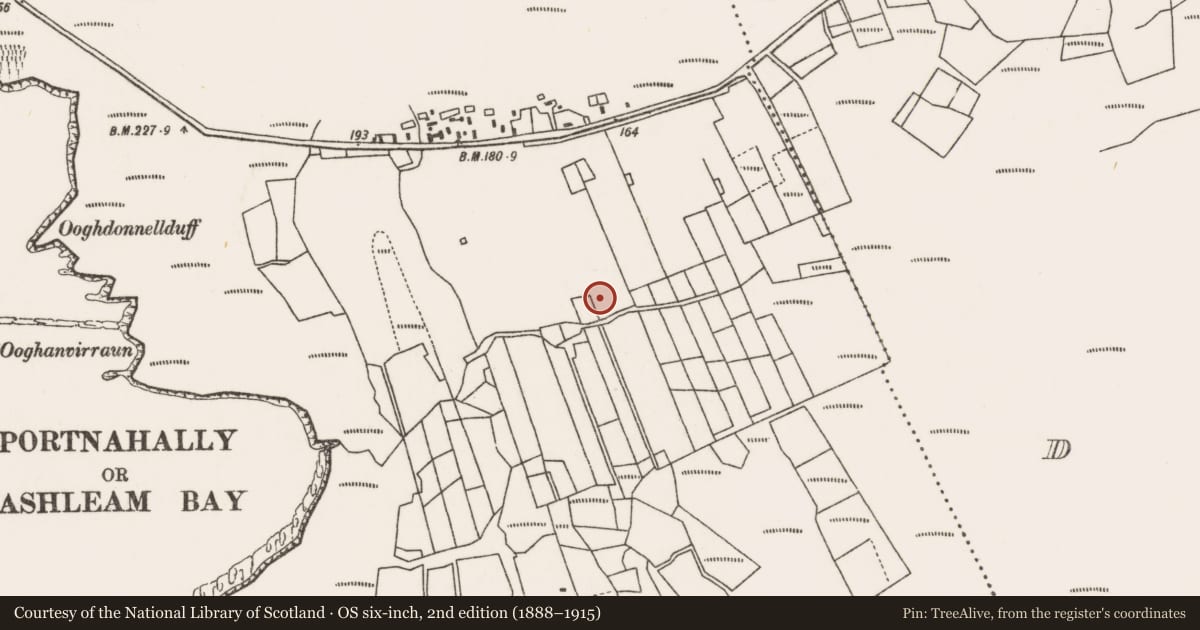 Ordnance Survey six-inch map, 2nd edition (1888–1915) covering the location of Field system, An Doirín, Dumha Éige, County Mayo, with a pin at the register's coordinates