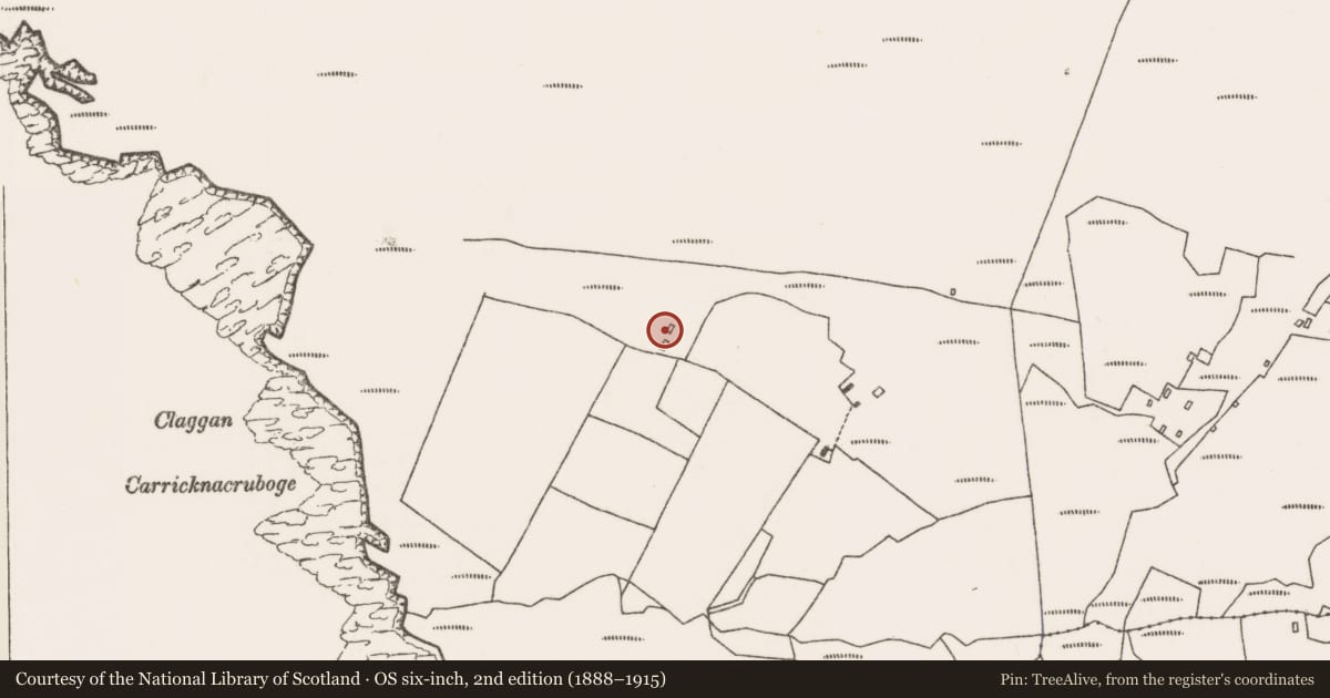 Ordnance Survey six-inch map, 2nd edition (1888–1915) covering the location of Children's burial ground, Dumha Éige, County Mayo, with a pin at the register's coordinates
