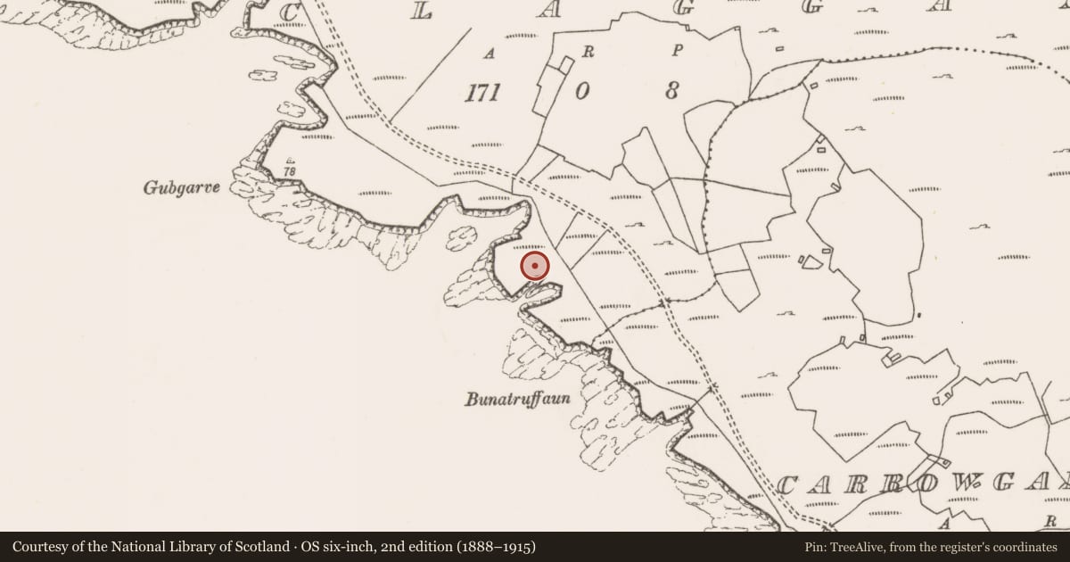 Ordnance Survey six-inch map, 2nd edition (1888–1915) covering the location of Hut site, An Cloigeann, County Mayo, with a pin at the register's coordinates