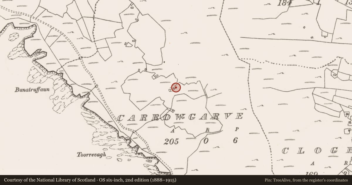 Ordnance Survey six-inch map, 2nd edition (1888–1915) covering the location of House - indeterminate date, An Cheathrú Gharbh, County Mayo, with a pin at the register's coordinates