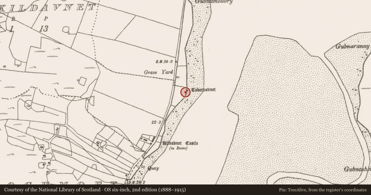Ordnance Survey six-inch map, 2nd edition (1888–1915) covering the location of Ritual site - holy well, Cill Damhnait, County Mayo, with a pin at the register's coordinates