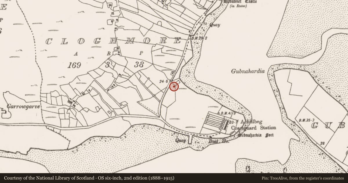 Ordnance Survey six-inch map, 2nd edition (1888–1915) covering the location of Enclosure, An Chloich Mhóir, County Mayo, with a pin at the register's coordinates