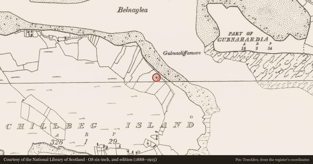 Ordnance Survey six-inch map, 2nd edition (1888–1915) covering the location of House - indeterminate date, Acaill Bheag, County Mayo, with a pin at the register's coordinates