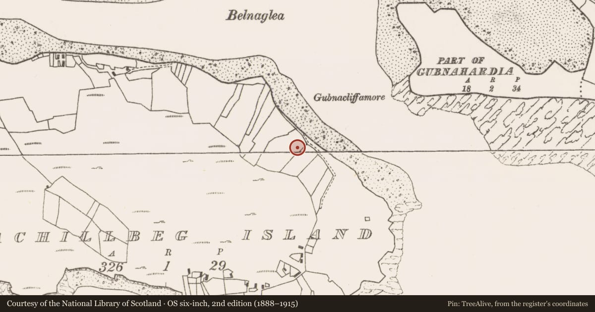 Ordnance Survey six-inch map, 2nd edition (1888–1915) covering the location of Enclosure, Acaill Bheag, County Mayo, with a pin at the register's coordinates