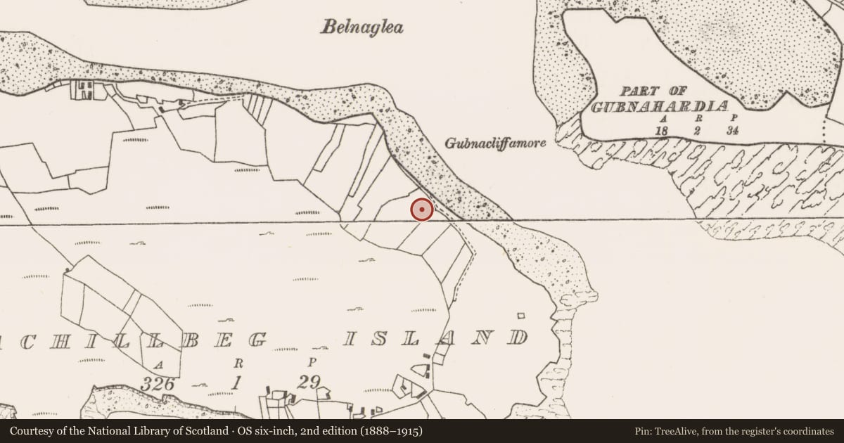 Ordnance Survey six-inch map, 2nd edition (1888–1915) covering the location of Field boundary, Acaill Bheag, County Mayo, with a pin at the register's coordinates