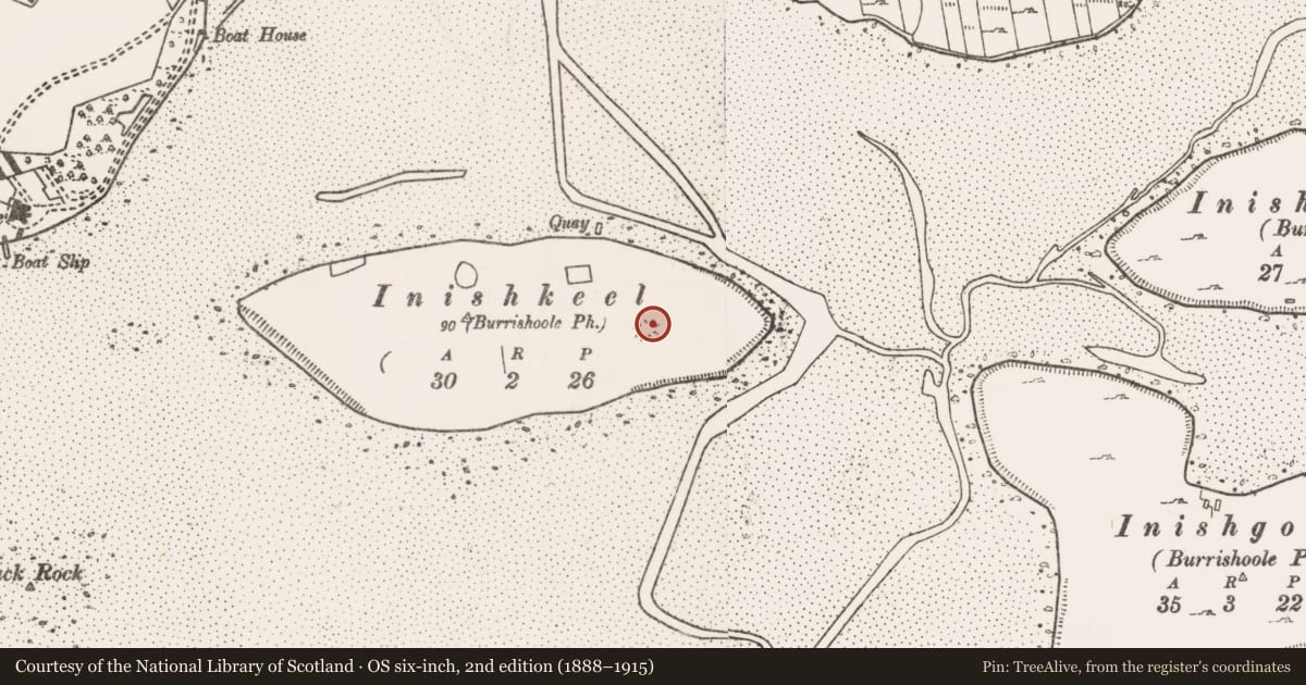 Ordnance Survey six-inch map, 2nd edition (1888–1915) covering the location of Ringfort - rath, Inishkeel Island, County Mayo, with a pin at the register's coordinates
