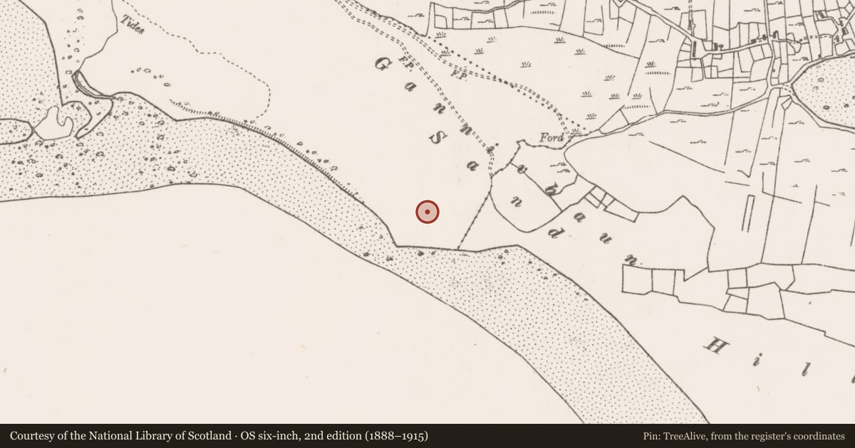 Ordnance Survey six-inch map, 2nd edition (1888–1915) covering the location of Midden, Mallaranny, Murrevagh, County Mayo, with a pin at the register's coordinates
