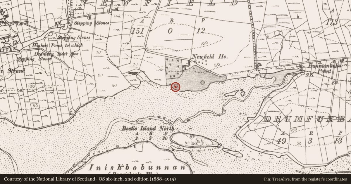 Ordnance Survey six-inch map, 2nd edition (1888–1915) covering the location of Enclosure, Newfield, County Mayo, with a pin at the register's coordinates