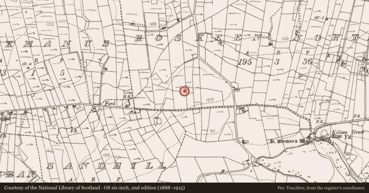 Ordnance Survey six-inch map, 2nd edition (1888–1915) covering the location of Ringfort - rath, Roskeen North, County Mayo, with a pin at the register's coordinates