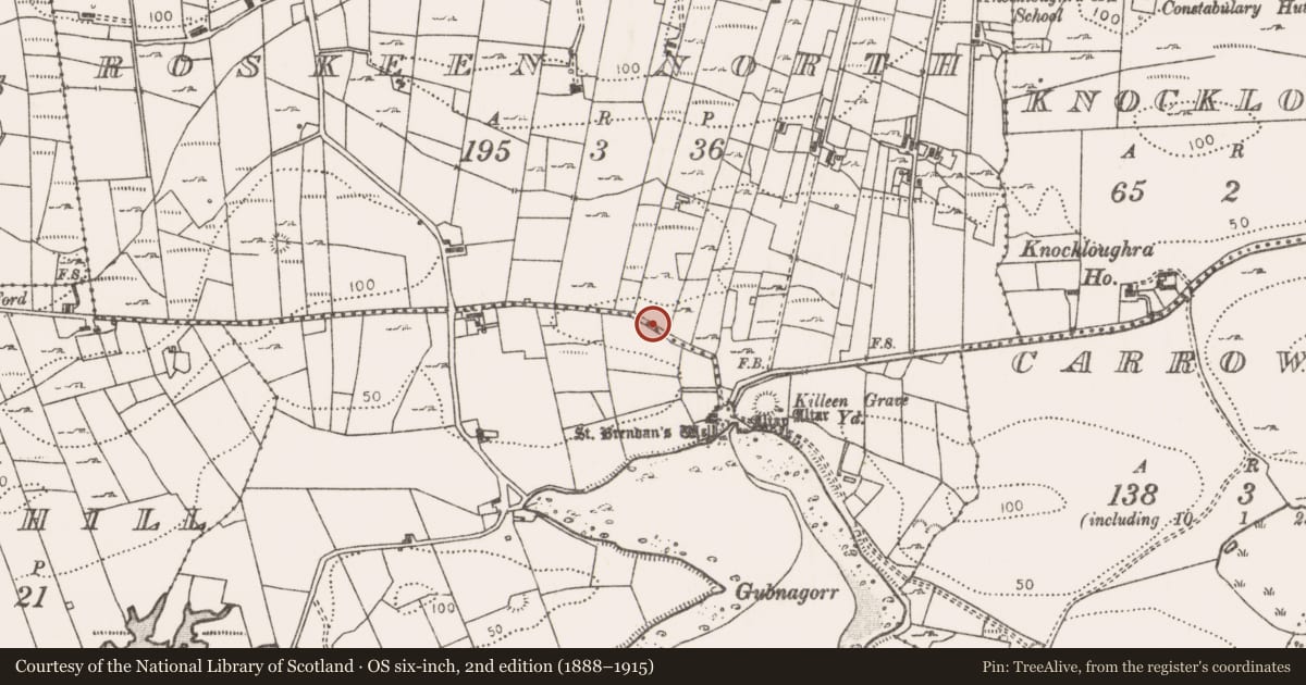 Ordnance Survey six-inch map, 2nd edition (1888–1915) covering the location of Bullaun stone, Roskeen North, County Mayo, with a pin at the register's coordinates