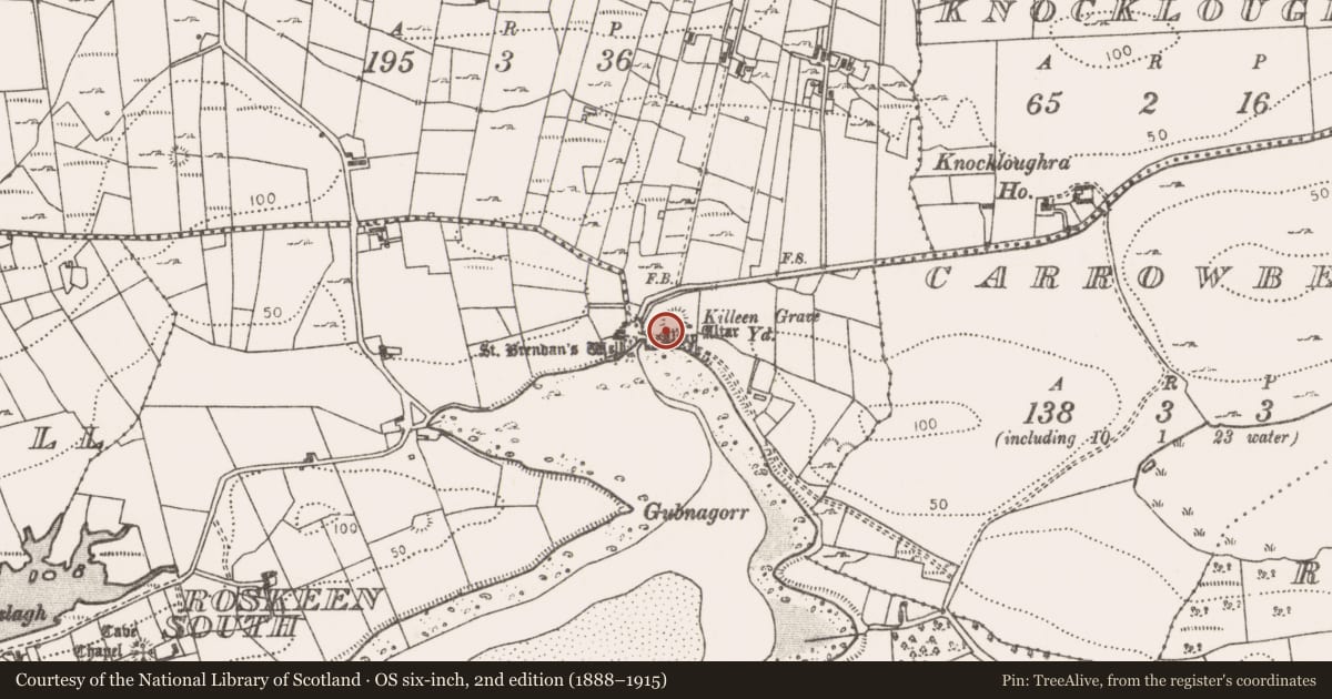 Ordnance Survey six-inch map, 2nd edition (1888–1915) covering the location of Graveyard, Roskeen North, County Mayo, with a pin at the register's coordinates