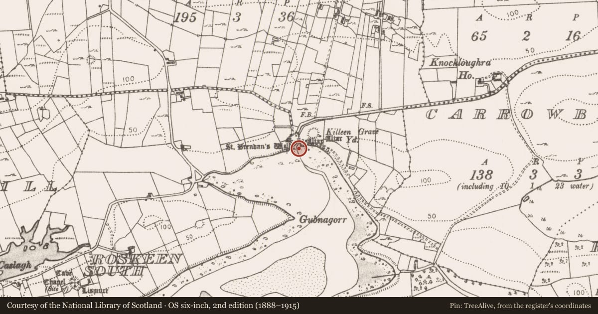 Ordnance Survey six-inch map, 2nd edition (1888–1915) covering the location of Ritual site - holy well, Roskeen North, County Mayo, with a pin at the register's coordinates