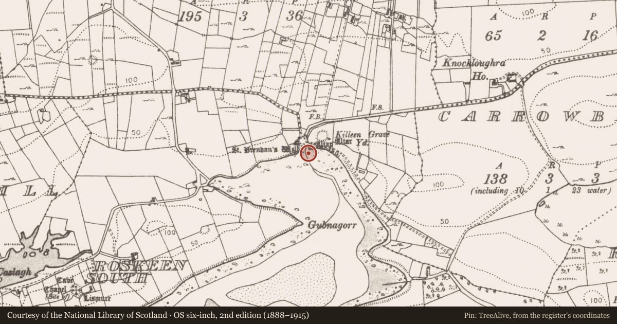 Ordnance Survey six-inch map, 2nd edition (1888–1915) covering the location of Leacht, Roskeen North, County Mayo, with a pin at the register's coordinates