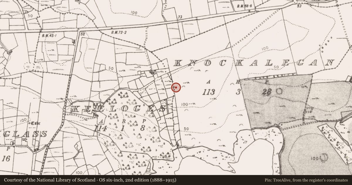 Ordnance Survey six-inch map, 2nd edition (1888–1915) covering the location of Standing stone - pair, Knockalegan, County Mayo, with a pin at the register's coordinates
