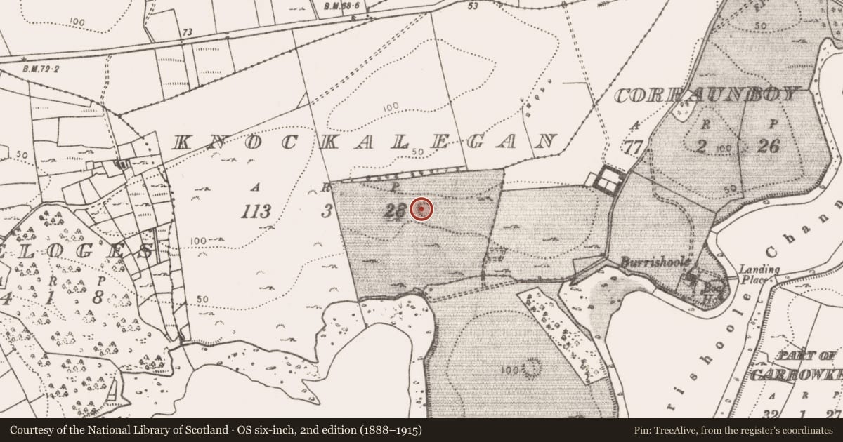 Ordnance Survey six-inch map, 2nd edition (1888–1915) covering the location of Ringfort - cashel, Knockalegan, County Mayo, with a pin at the register's coordinates
