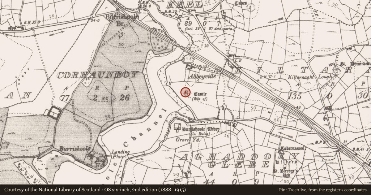 Ordnance Survey six-inch map, 2nd edition (1888–1915) covering the location of Settlement deserted - medieval, Carrowkeel (Burrishoole By., Burrishoole Par.), County Mayo, with a pin at the register's coordinates