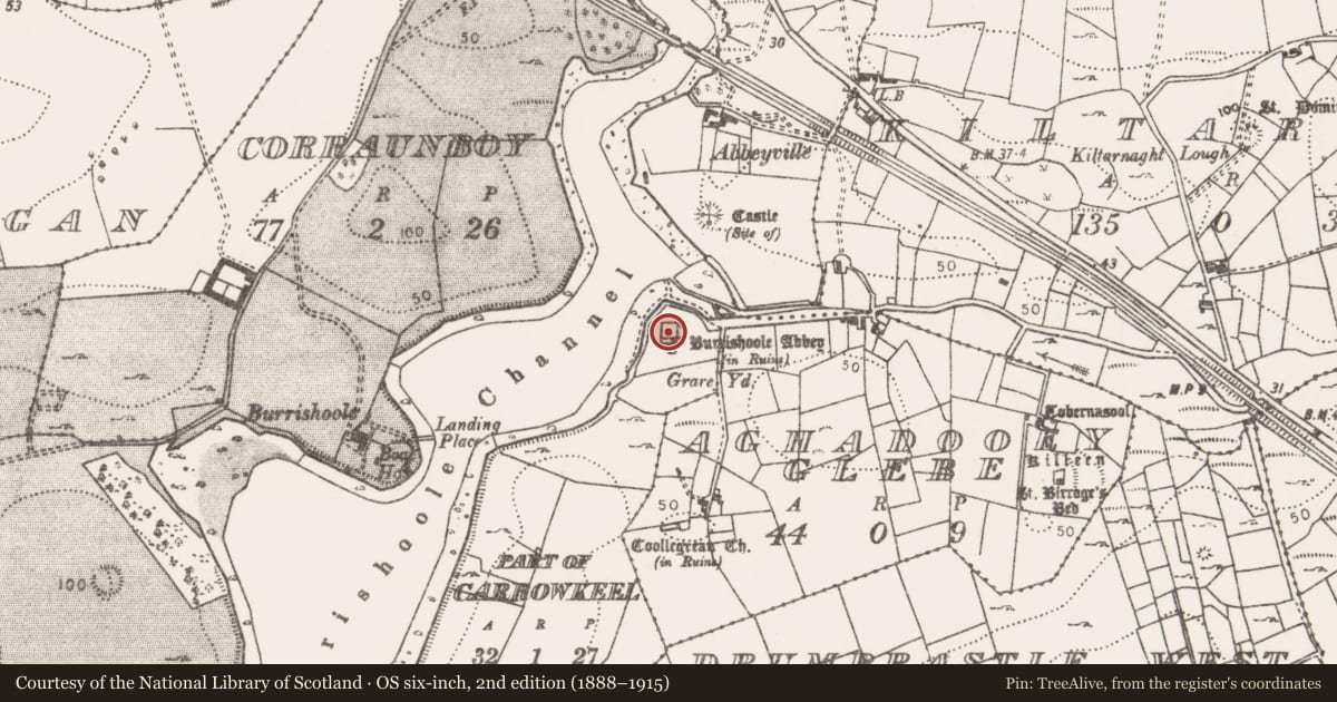 Ordnance Survey six-inch map, 2nd edition (1888–1915) covering the location of Religious house - Dominican friars, Carrowkeel (Burrishoole By., Burrishoole Par.), County Mayo, with a pin at the register's coordinates