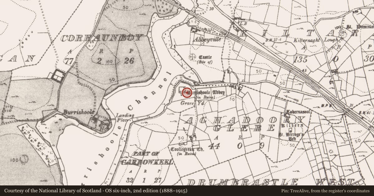 Ordnance Survey six-inch map, 2nd edition (1888–1915) covering the location of Graveyard, Carrowkeel (Burrishoole By., Burrishoole Par.), County Mayo, with a pin at the register's coordinates